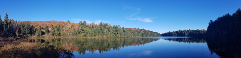 Algonquin Mirror
